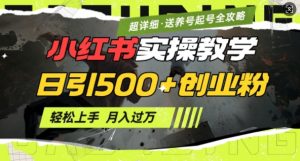 2月小红书最新日引500+创业粉实操教学【超详细】小白轻松上手，月入1W+，附小红书养号起号SOP-木白网创