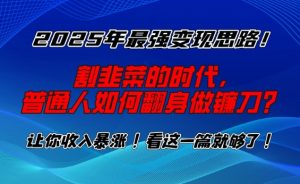 2025年最强变现思路，割韭菜的时代， 普通人如何翻身做镰刀？【揭秘】-木白网创