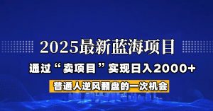 2025年蓝海项目，如何通过“网创项目”日入2000+-木白网创