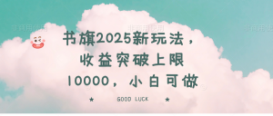 书旗2025新玩法，收益突破上限10000，小白可做-木白网创