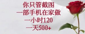 你只管截图，一部手机在家做，一小时120.一天5张【揭秘】-木白网创