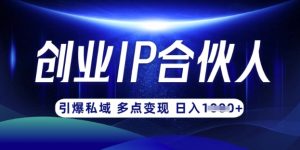 云帆·创业ip合伙人打造3.0，从0到1教你做网创，实现月入过W-木白网创