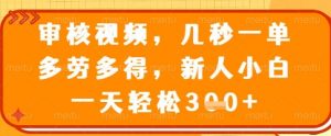 审核视频，几秒一单，多劳多得，新人小白一天轻松3张【揭秘】-木白网创