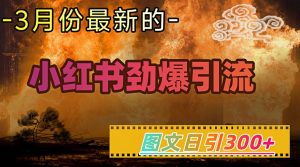 小红书超劲爆引流手段，图文日引300+轻松变现1W-木白网创