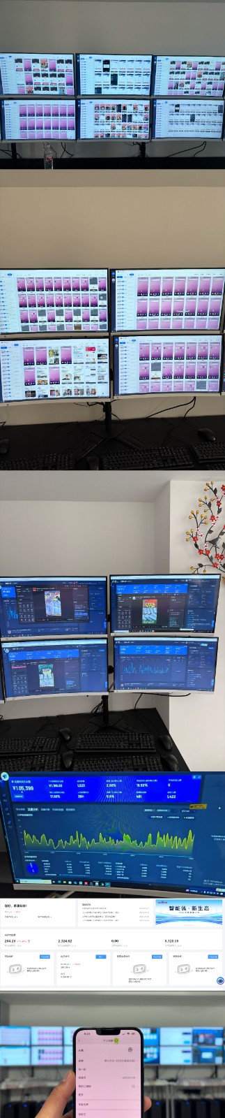 实操项目合集 挂机类型 直播类型 轻资产创业类型 课程分享各项目介绍和原理-木白网创