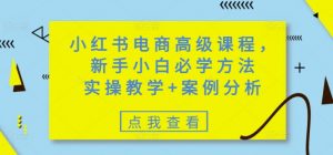 小红书电商高级课程，新手小白必学方法，实操教学+案例分析-木白网创