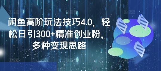 闲鱼高阶玩法技巧4.0，轻松日引300+精准创业粉，多种变现思路-木白网创
