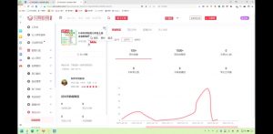 2025小红书虚拟电商实战课-木白网创