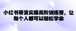 小红书带货实操高阶训练营，让每个人都可以轻松学会-木白网创