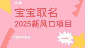 2025新风口项目宝宝取名，0成本高利润，附保姆级教程，月入过万不是梦-木白网创