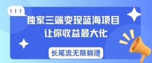 独家三端变现蓝海项目，让你收益最大化，长尾流无限躺挣-木白网创