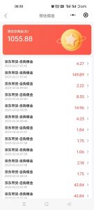 京东达人视频带货速成班，长期饭票，稳定月入3K-木白网创