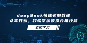 deepSeek快速驯服教程，从零开始，轻松掌握数据分析技能-木白网创