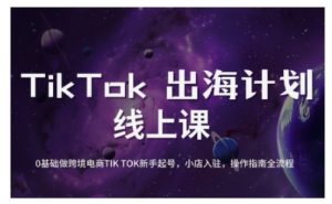 TikTok跨境电商新手起号与运营全攻略，0基础做跨境电商TIKTOK新手起号，小店入驻，操作指南全流程-木白网创
