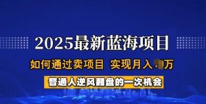2025蓝海项目，普通人如何通过卖项目，实现月入过W，全过程【揭秘】-木白网创