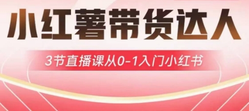 小红薯达人带货启航计划，3节直播课从0-1入门小红书-木白网创