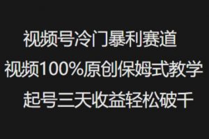 视频号冷门暴利赛道视频100%原创保姆式教学起号三天收益轻松破千-木白网创