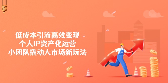 低成本引流高效变现，个人IP资产化运营，小团队撬动大市场新玩法-木白网创