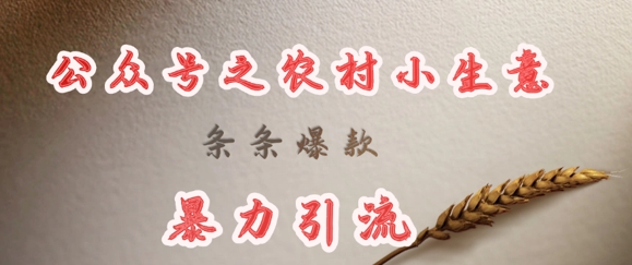 deepseek写农村小项目，条条爆款，暴力引流-木白网创