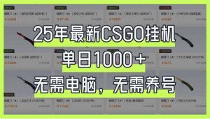 25年最新CSGO挂机系统，单日1000+，无需电脑，无需养号，0基础可上手-木白网创