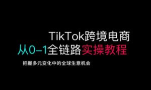 TikTok跨境电商从0-1全链路全方位实操教程，把握多元变化中的全球生意机会-木白网创