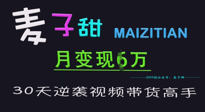 麦子甜30天逆袭视频带货高手，单月变现6W加特训营-木白网创
