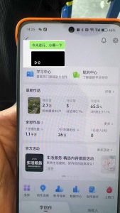 抖音暴力涨粉技术：一天轻松1-10万粉，技术不确定真实性，自测-木白网创