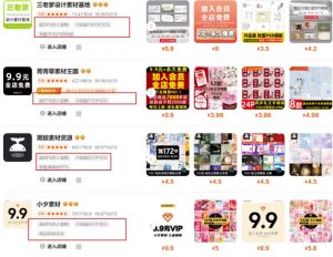 0成本虚拟项目实战手把手教你落地，单店月入5k-木白网创