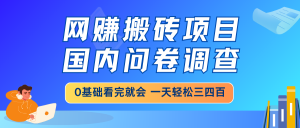 网赚搬砖项目，国内问卷调查，0基础看完就会 一天轻松三四百，靠谱副业...-木白网创