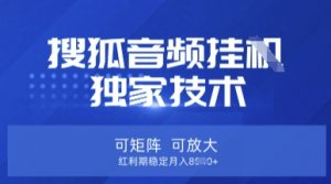 【搜狐音频挂G】独家技术，可矩阵可放大，红利期稳定月入8k【揭秘】-木白网创