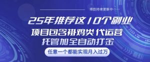 25年推荐这10个副业项目包含褂鸡类、代运营托管类、全自动打金类【揭秘】-木白网创