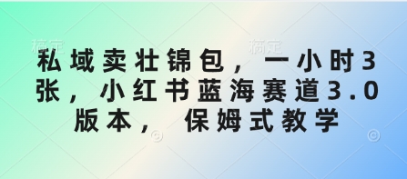 私域卖壮锦包，一小时3张，小红书蓝海赛道3.0版本， 保姆式教学-木白网创