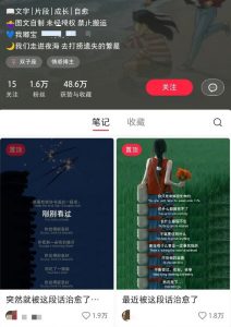 小红书治愈文案图文笔记，零门槛，一分钟制作轻松制作爆款作品月入万元-木白网创
