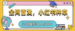 小红书种草，手机项目，日入3张，复制黏贴即可，可矩阵操作，动手不动脑【揭秘】-木白网创
