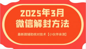 2025年3月微信解封方法 最新跳辅助核对技术【小伙伴亲测】-木白网创
