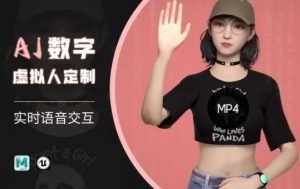 Ai数字人虚拟(智能体)实时语音交互特训营，​自行定制超写实角色AI数字人交互技术-木白网创