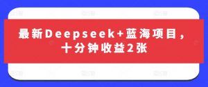 最新Deepseek+蓝海项目，十分钟收益2张-木白网创