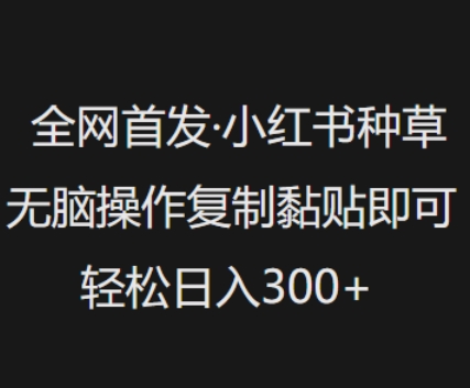 全网首发，小红书种草无脑操作，复制黏贴即可，轻松日入3张-木白网创