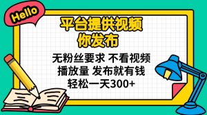 平台提供视频 你发布 无粉丝要求 不看视频播放量 发布就有钱 轻松一天300+-木白网创