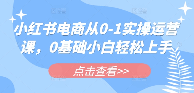 小红书电商从0-1实操运营课，0基础小白轻松上手-木白网创