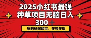 2025小红书最强种草项目，无脑日入300+，复制粘帖即可，多劳多得-木白网创