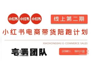 小红书电商带货课2期，月利润20个的小红书电商的有货源，无货源，虚拟产品，付费投流等整套玩法-木白网创