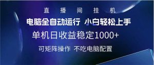 2025直播间最新玩法单机日入1000+ 全自动运行 可矩阵操作-木白网创