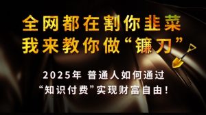 全网都在割你韭菜，我来教你做镰刀,2025普通人如何通过知识付费，实现财F自由【揭秘】-木白网创
