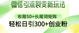 微信引流裂变新玩法：布局50+长尾词矩阵，轻松日引300+创业粉-木白网创