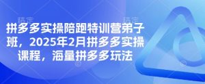 拼多多实操陪跑特训营弟子班，2025年2月拼多多实操课程，海量拼多多玩法-木白网创