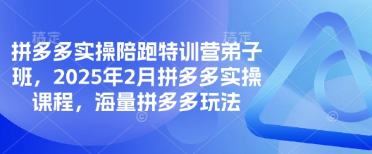 拼多多实操陪跑特训营弟子班，2025年2月拼多多实操课程，海量拼多多玩法-木白网创