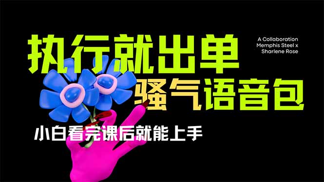 爆火全网的开车导航骚气语音包,只要执行就出单，小白看完课程就能实操…-木白网创