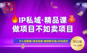 2025年“IP私域·密训精品课”，日赚3000+小白避坑年赚百万，暴力引流...-木白网创