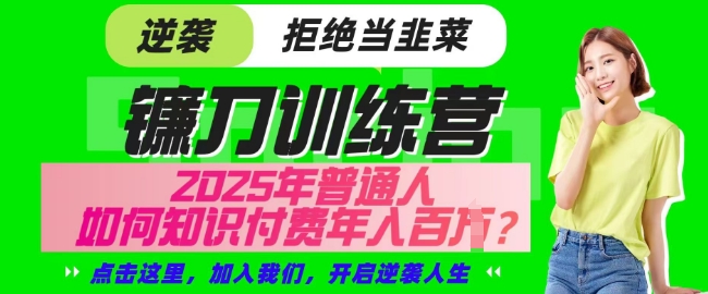 【网创项目终点站-镰刀训练营超级IP合伙人】25年普通人如何通过知识付费实现逆袭【揭秘】-木白网创